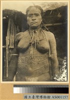 藏品(婦女身體毀飾)的圖片